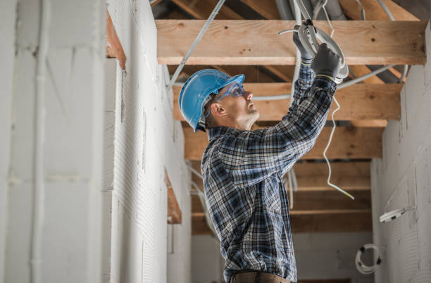 Best Electric Panel Repair  in Blue Ridge, TX