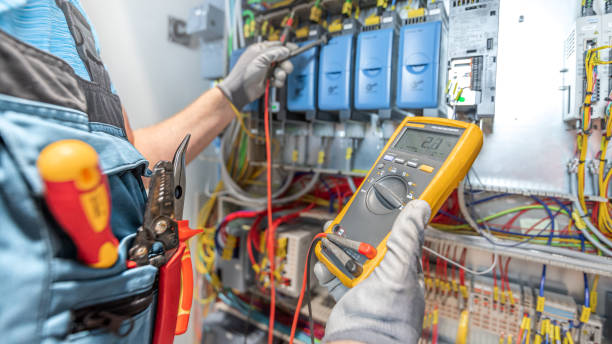 Best Electric Panel Repair  in Blue Ridge, TX